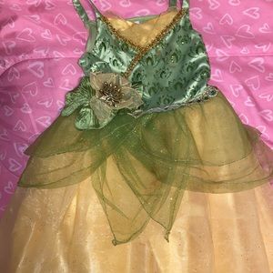 Disney Store Princess Dress
